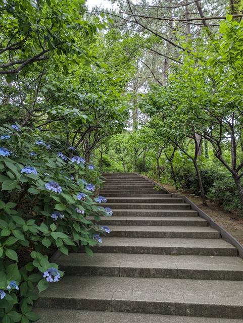 Image for photo