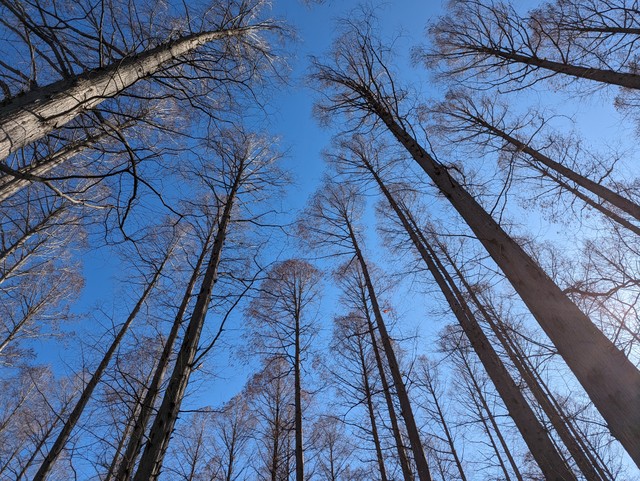Image for photo