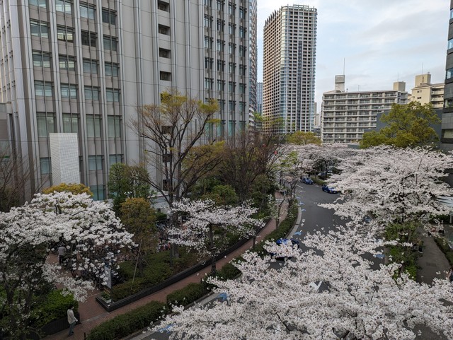 Image for photo