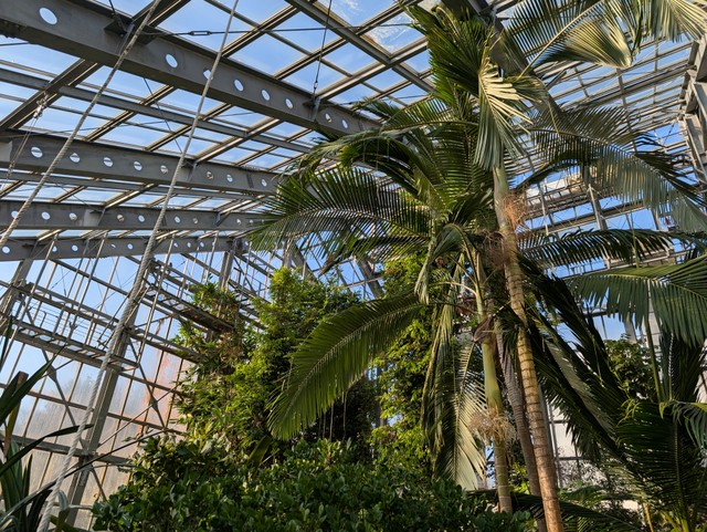 Image for photo