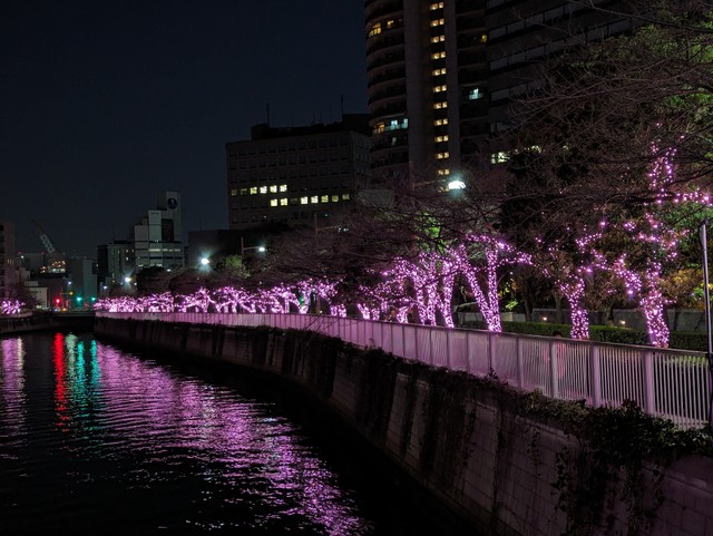 Image for photo