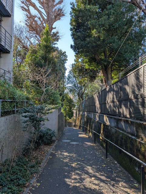 Image for photo