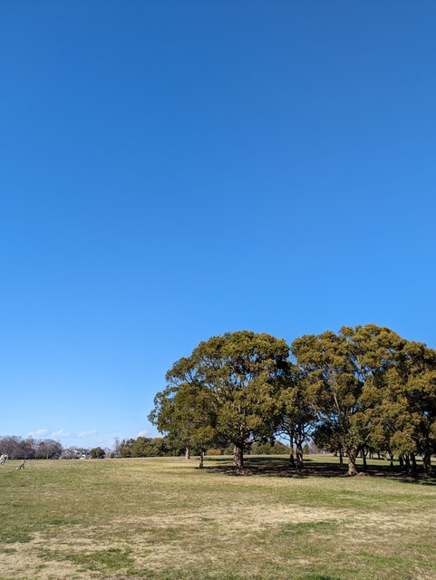 Image for photo