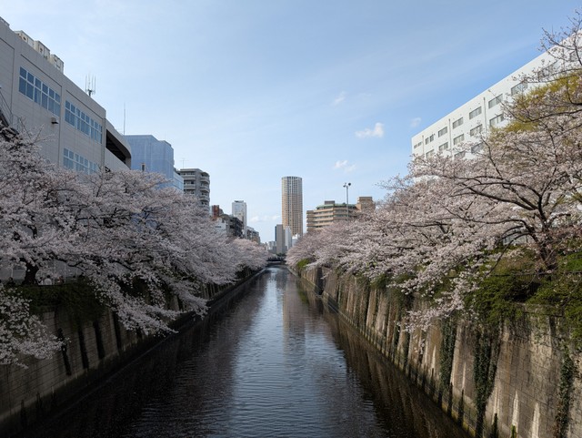 Image for photo