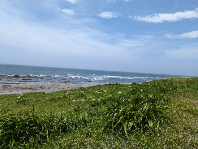 Image for photo