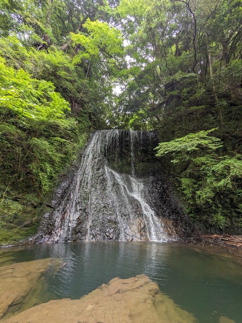 Image for photo