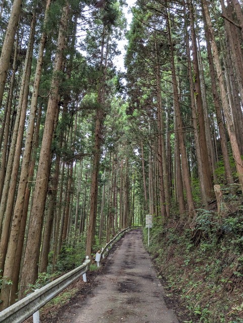 Image for photo