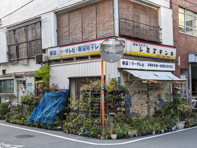 Image for photo