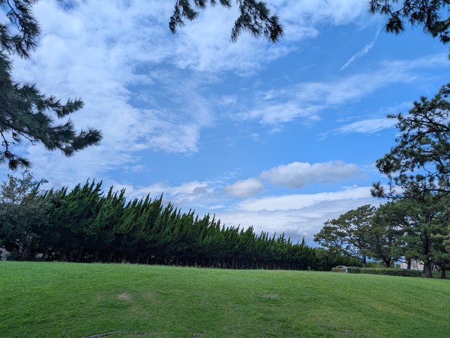 Image for photo